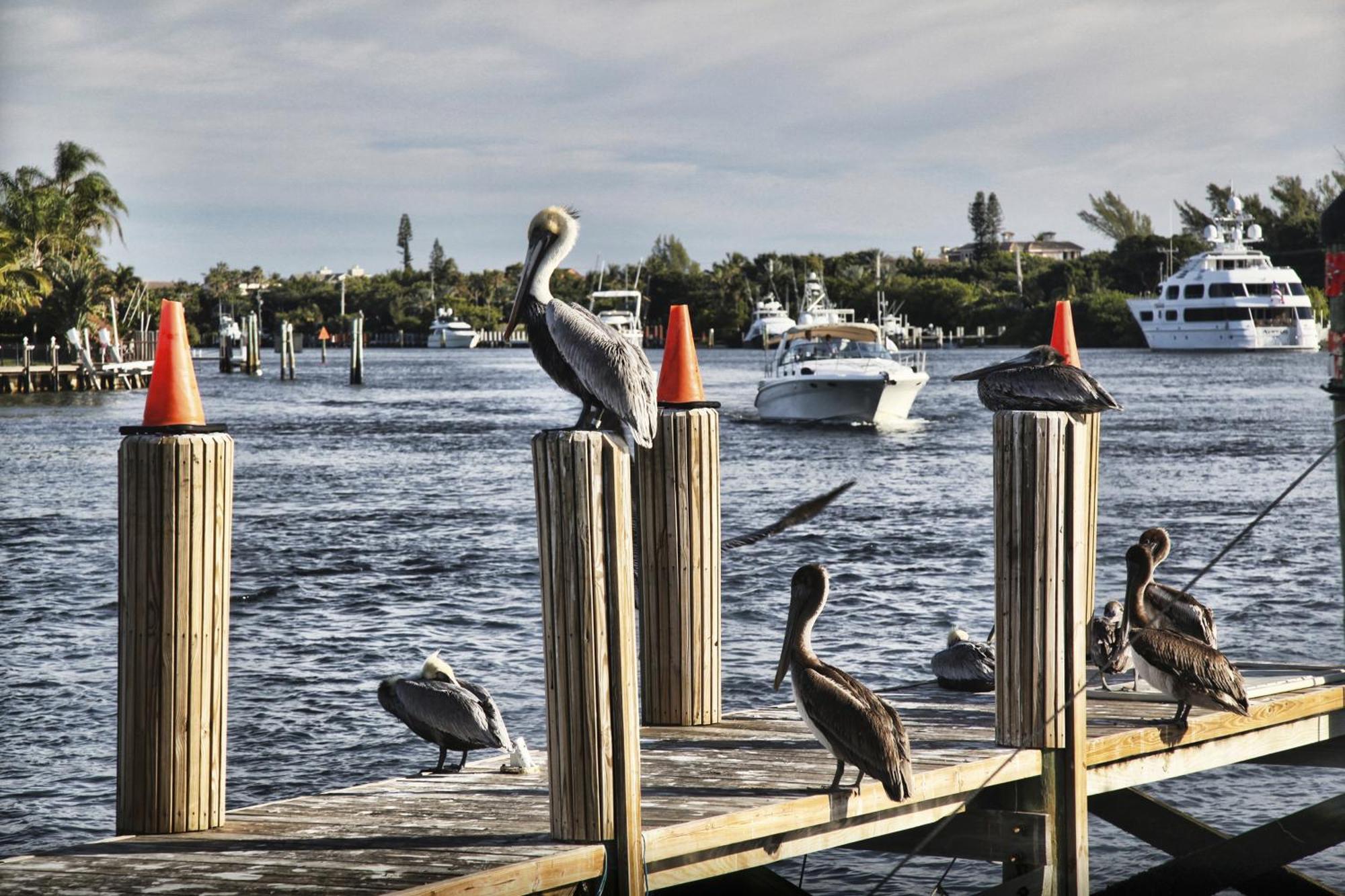 Floranada Condos Pompano Beach Eksteriør billede